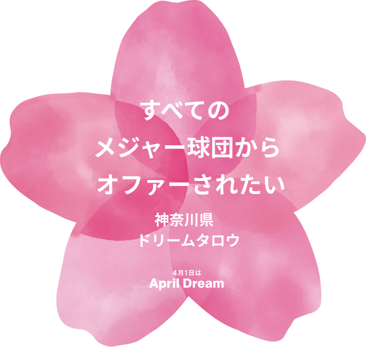夢を書いた桜の花びら