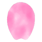 桜の花びら